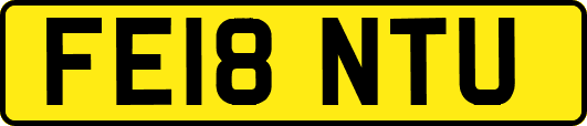 FE18NTU