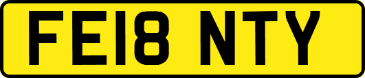 FE18NTY