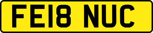 FE18NUC