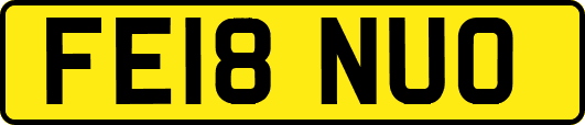 FE18NUO