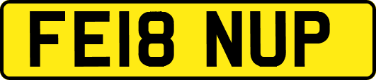 FE18NUP