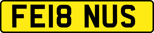 FE18NUS