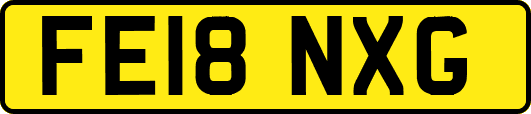 FE18NXG