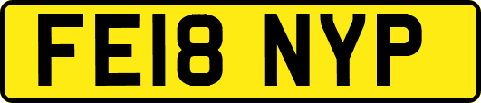 FE18NYP