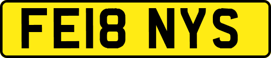 FE18NYS