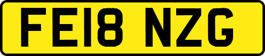 FE18NZG