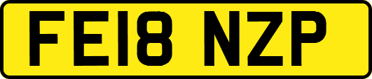 FE18NZP