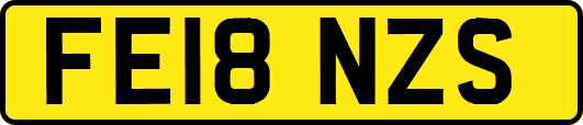 FE18NZS