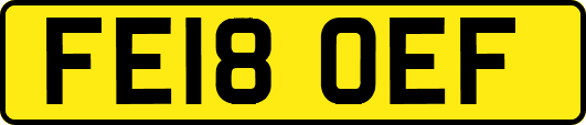 FE18OEF