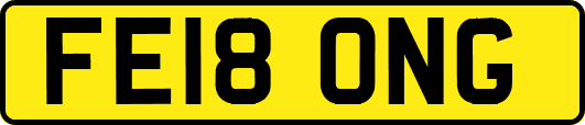 FE18ONG