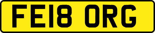 FE18ORG