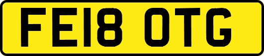 FE18OTG