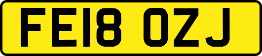 FE18OZJ