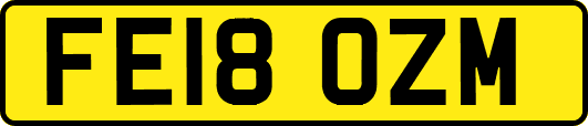 FE18OZM