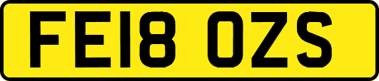 FE18OZS