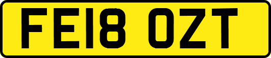 FE18OZT