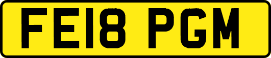 FE18PGM
