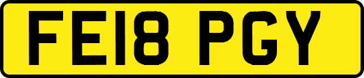 FE18PGY
