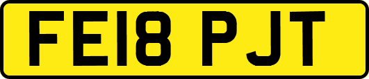 FE18PJT