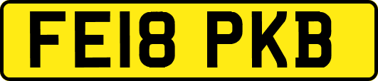 FE18PKB