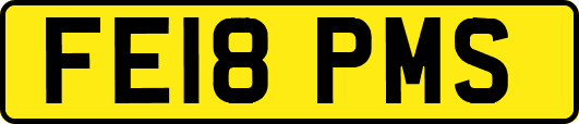 FE18PMS