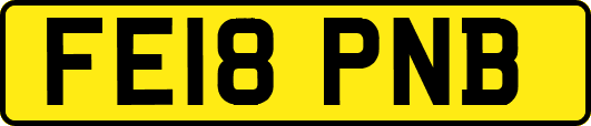 FE18PNB