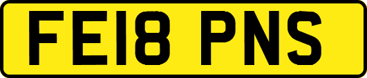 FE18PNS
