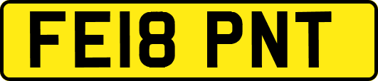 FE18PNT
