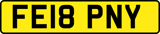 FE18PNY