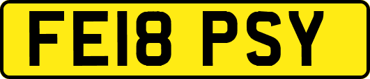 FE18PSY