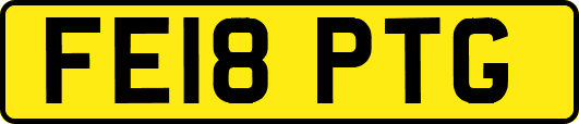 FE18PTG
