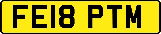 FE18PTM