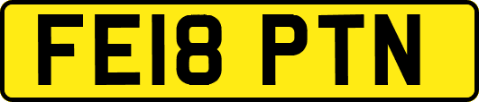 FE18PTN
