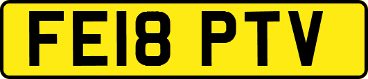 FE18PTV