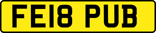 FE18PUB