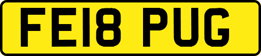 FE18PUG