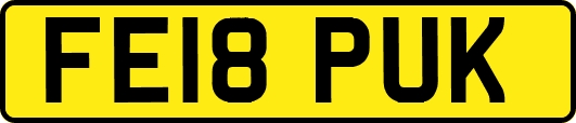 FE18PUK