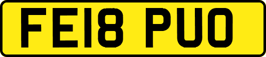 FE18PUO