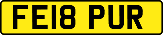 FE18PUR