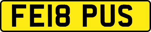 FE18PUS