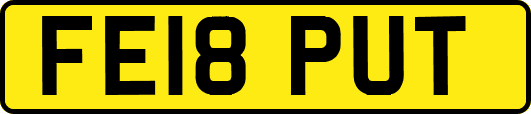 FE18PUT