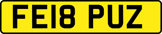 FE18PUZ