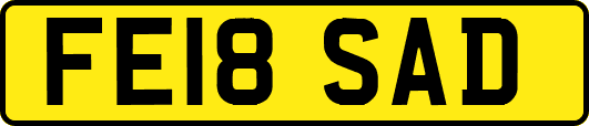 FE18SAD