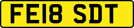 FE18SDT
