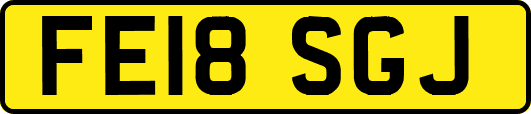 FE18SGJ