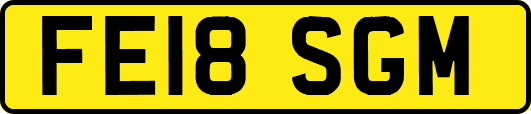 FE18SGM