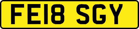 FE18SGY