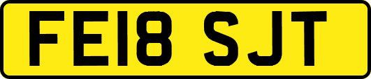 FE18SJT