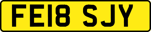 FE18SJY