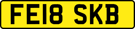 FE18SKB